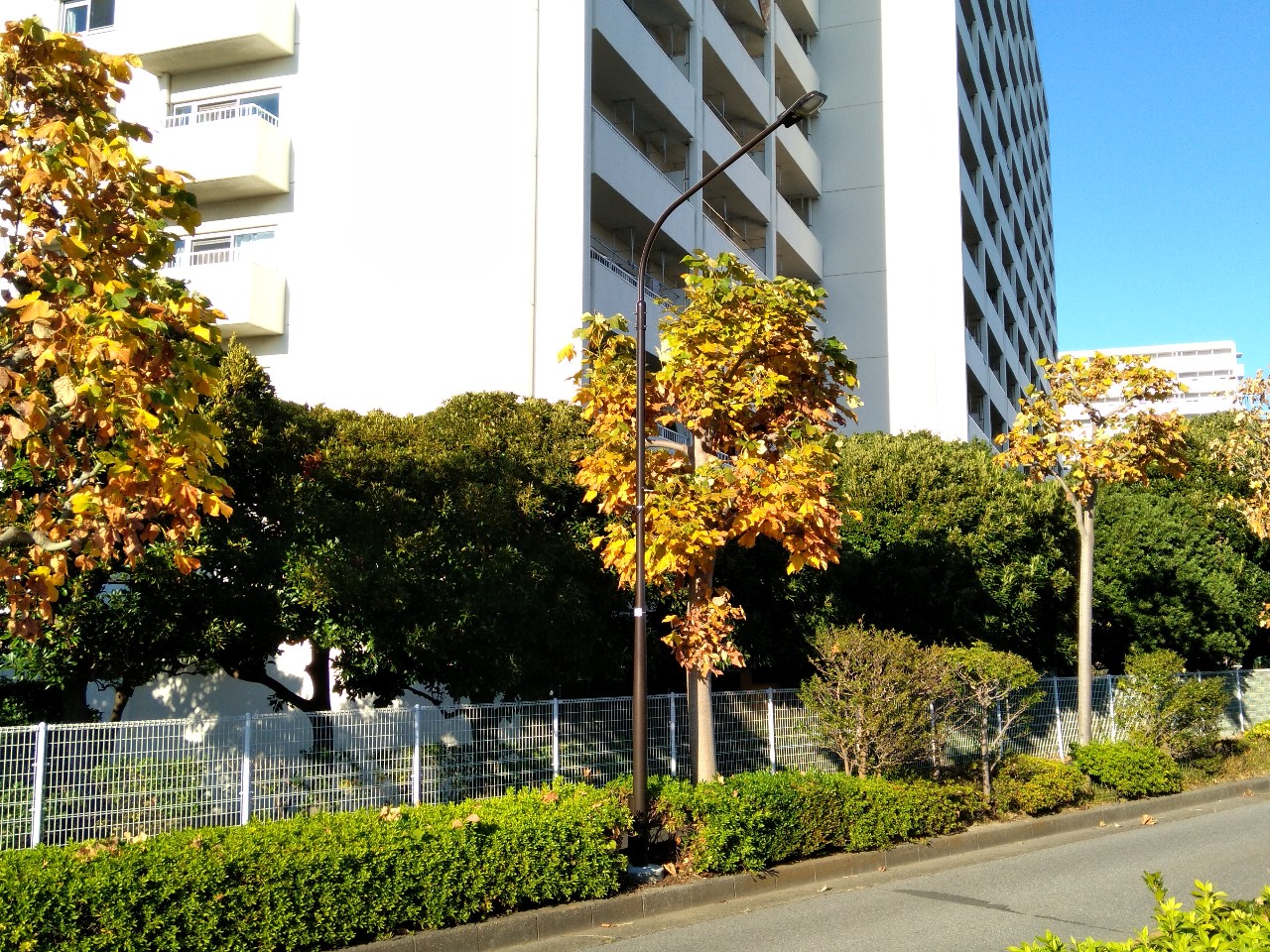 街路灯設置工事
